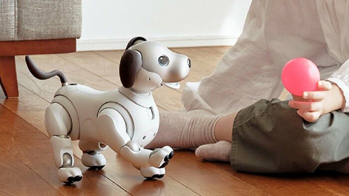 aibo(画像提供:ソニーグループ)