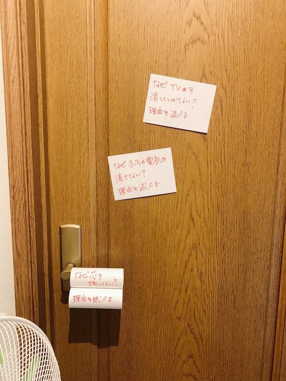 提供:Amyさん
