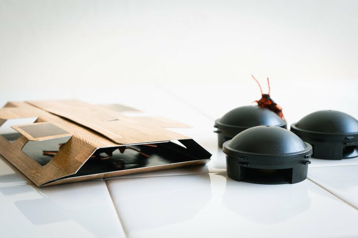 捕獲器と毒餌を両方仕掛ければ駆除できる確率は増す