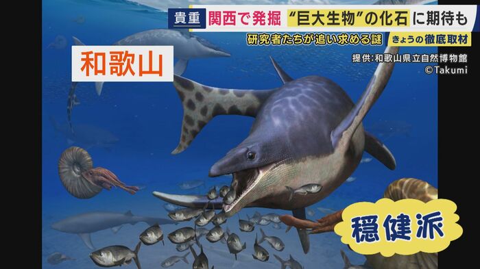 和歌山で発掘された穏健派?