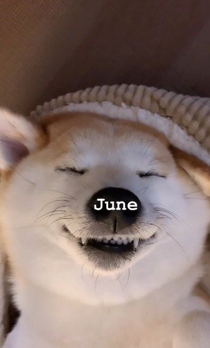6月はお口が半開きに