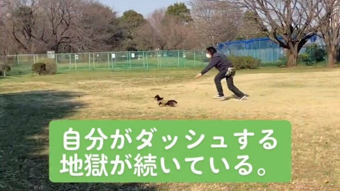 小太郎くんはボールの方向に爆走!