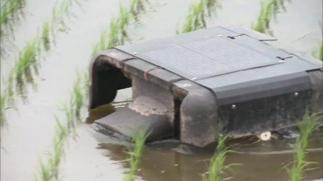 お掃除ロボットでも、鳥型のロボットでもない