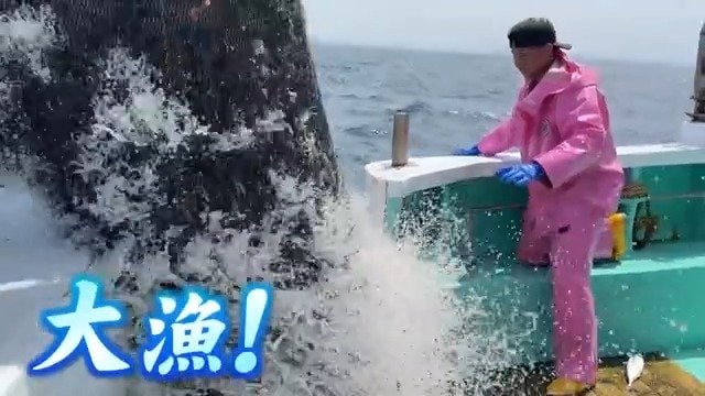 1度の網揚げで1トン獲れることもある