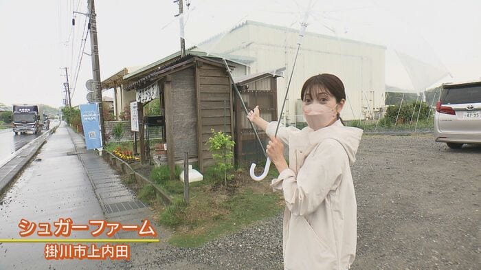 北村花絵アナウンサー (静岡・掛川市)