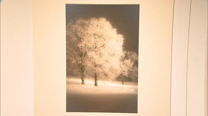 グランプリ「雪にたたずむ木々」