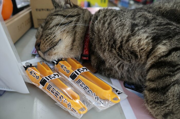 居眠り中