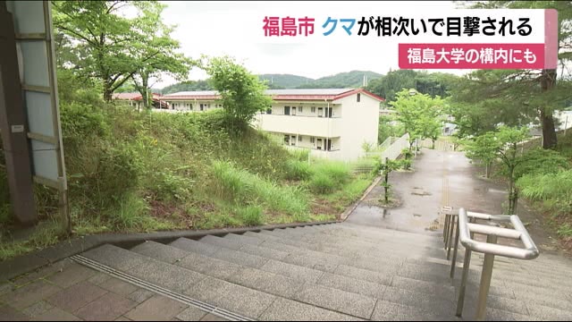 福島大学周辺【クマ出没】 大学構内を歩いているところを目撃 注意呼びかける<福島県福島市>