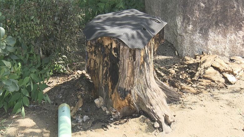 現場に火の気なく…学童保育所の目の前で“切り株”が炎上 中にいた児童約20人や職員にケガなし 出火原因は不明｜FNNプライムオンライン