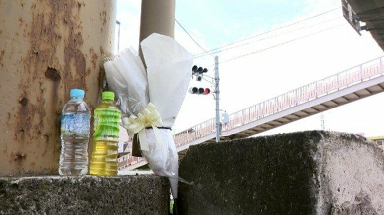時速114キロ～136キロで赤信号無視　失われた23歳娘の命　「事故を受け止めきれずにいる」　両親の悲しみと危険運転が奪う未来【宮城発】｜FNNプライムオンライン