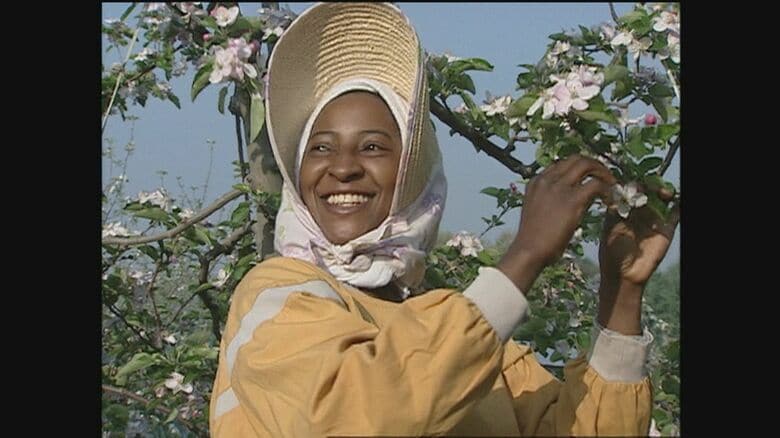 「外国人いらない」と4回断られても　長野のりんご農家に嫁いだタンザニア人女性　30年間で2800万円を母国支援　黒人差別乗り越え「価値は一緒」貫く｜FNNプライムオンライン