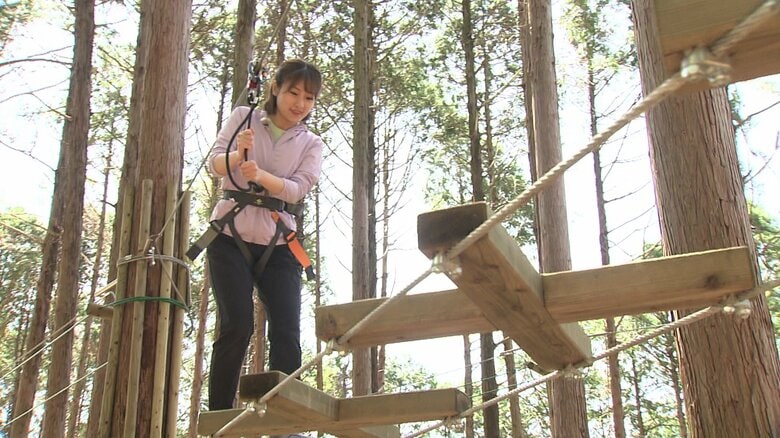 2つのコースを楽しめる