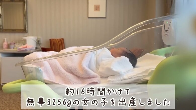 提供：豆柴うに&ゴールデンレトリバーおからさん