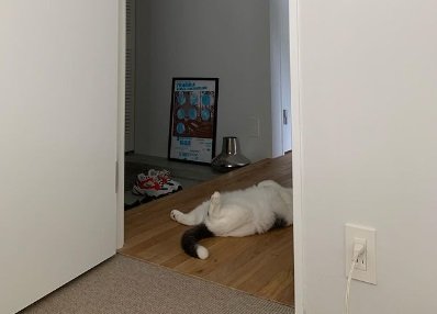 こちらは廊下に“落ちている”オッタくん