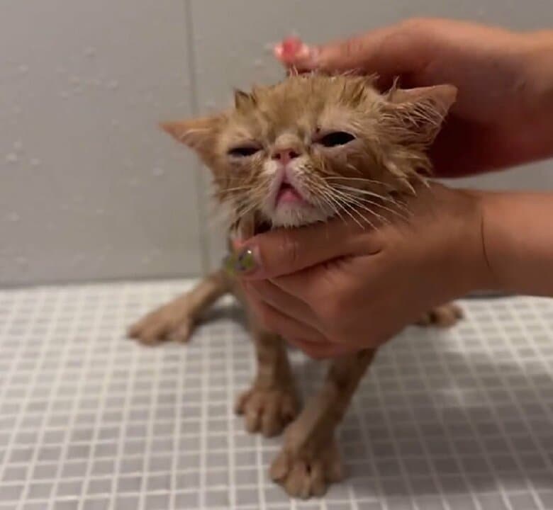 少し気持ちよさそう？