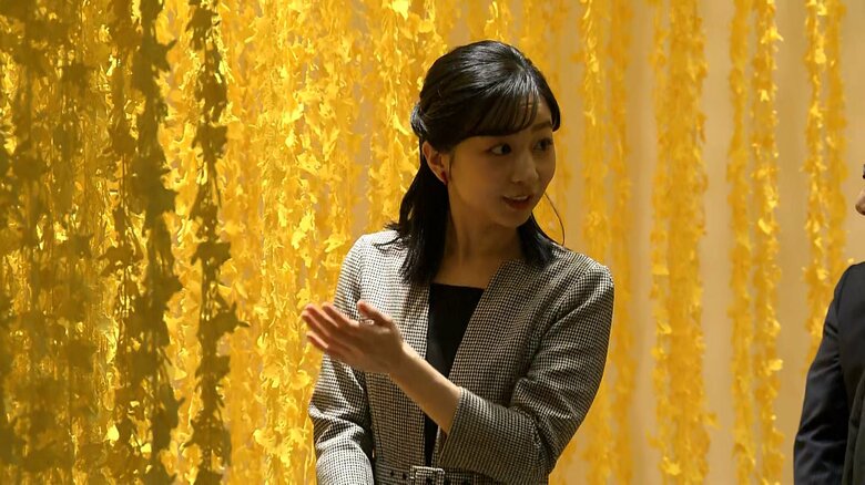 須藤玲子さん作「ピカチュウの森」をご覧に