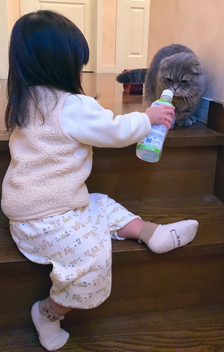 飲み物をどうぞ