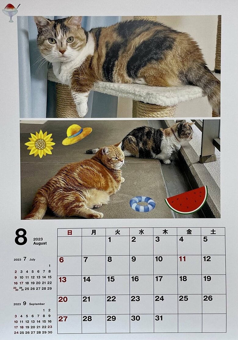 2023年8月のカレンダー　夏！