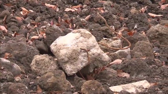 土砂の中には鉄筋も