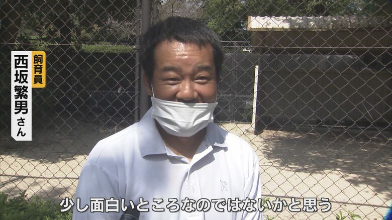 飼育員に対しては威嚇しないという