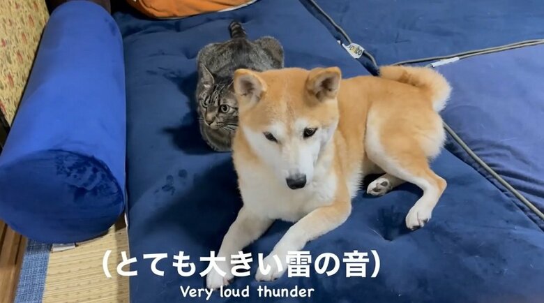 大きな雷が落ちたよう　大きな音が聞こえる