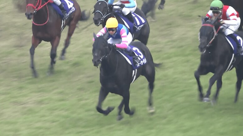 ウォーターナビレラ（2021年阪神ジュベナイルフィリーズ）