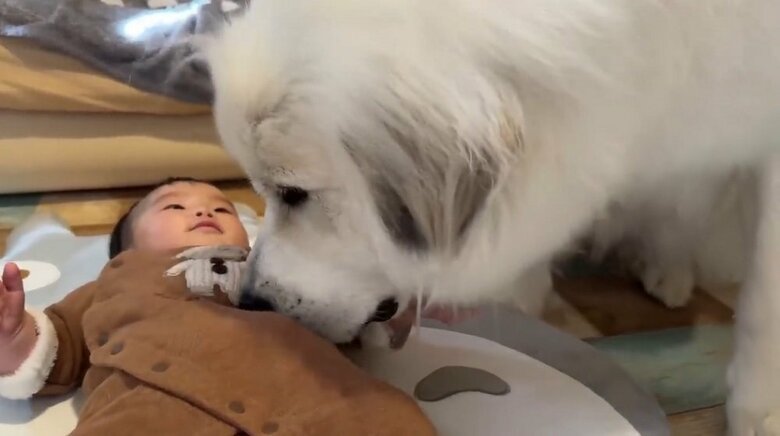 「ちょっと動いてくれない？」