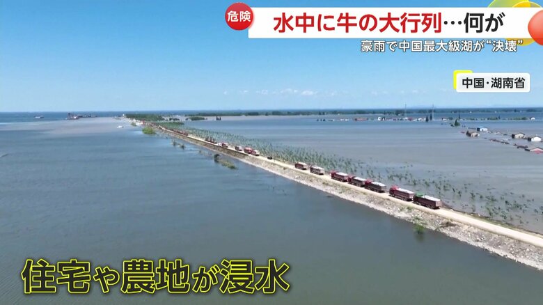 堤防の一部が決壊した中国で2番目に大きな淡水湖｢洞庭湖」