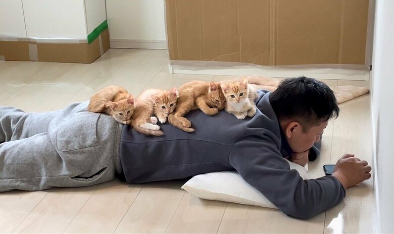 提供：oimo210さん