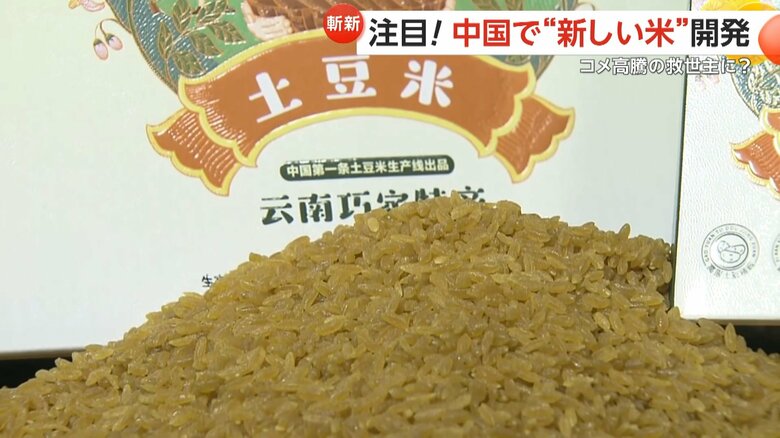 まるでドライカレーのような色合いのジャガイモ米