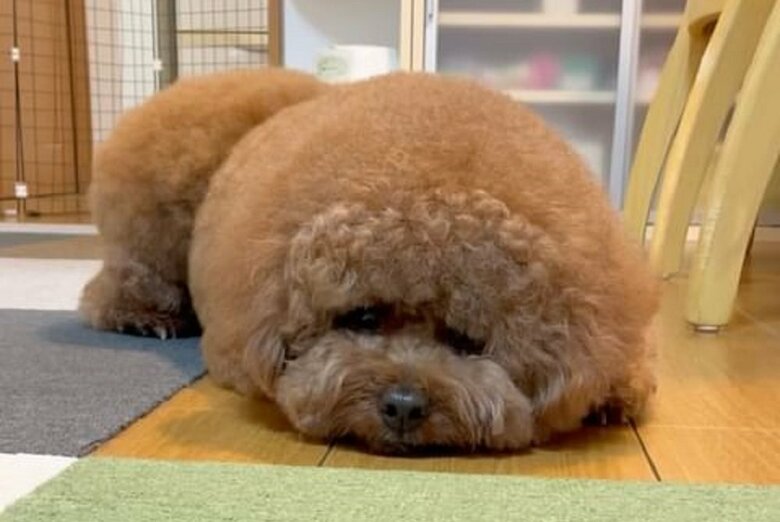 眠たくてとろーん