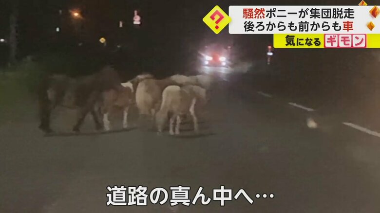 （FNN投稿サイト「ビデオPost」）