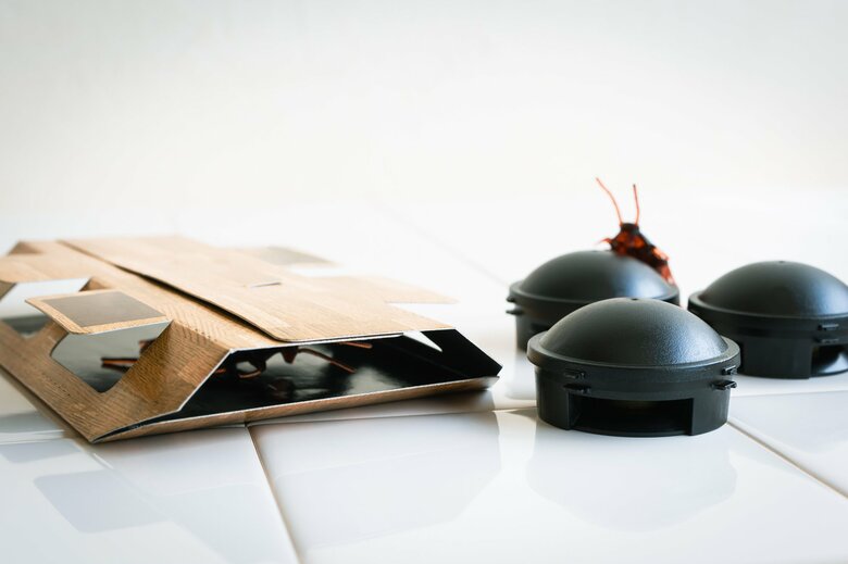 捕獲器と毒餌を両方仕掛ければ駆除できる確率は増す