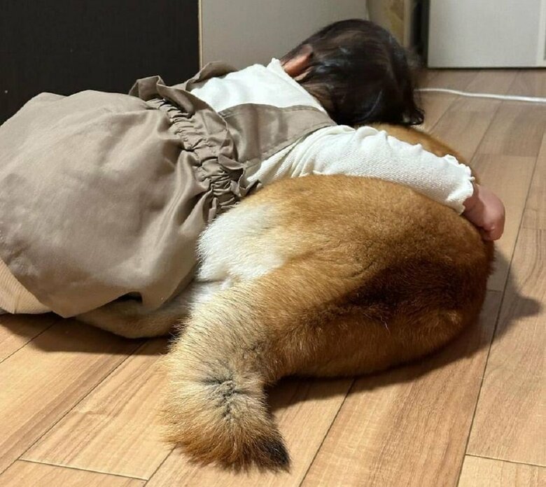 ギュッとされたりしても許している