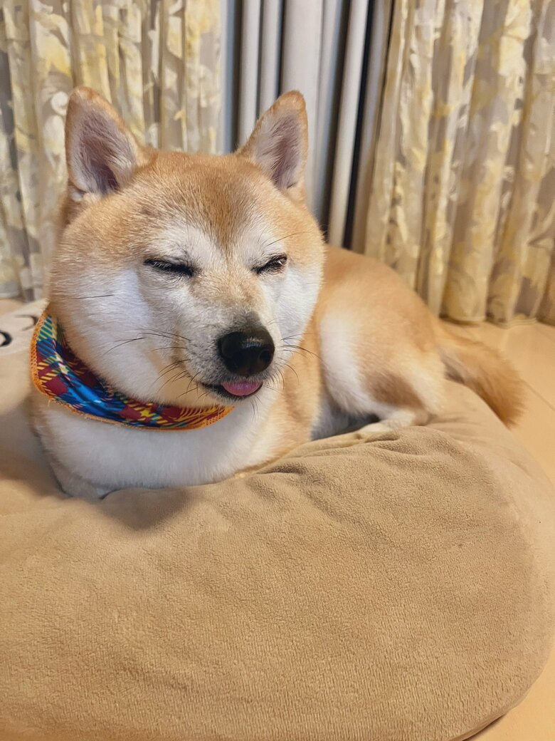 うつらうつら