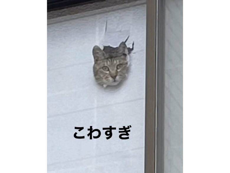 まるでホラー映画のよう（提供：ちびまるまろんさん）