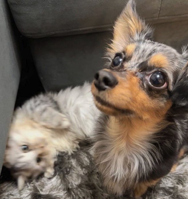 提供：チワックスの諭吉くん。さん