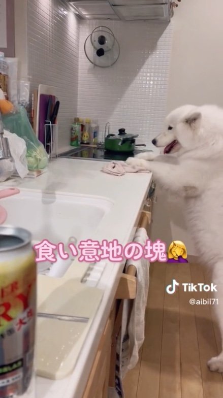 提供：ibukimama38さん