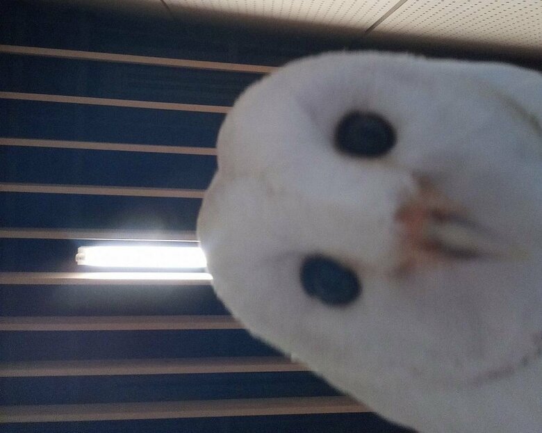 自分で携帯のシャッターを押した自撮り