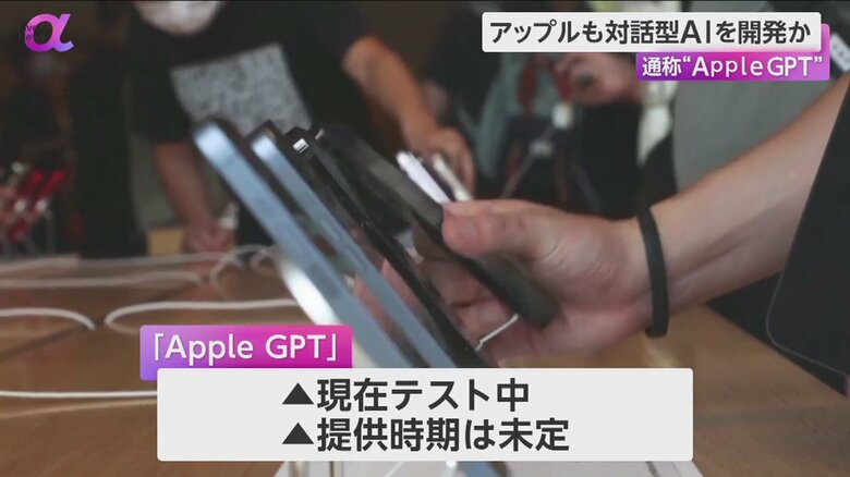 アップルストアの様子