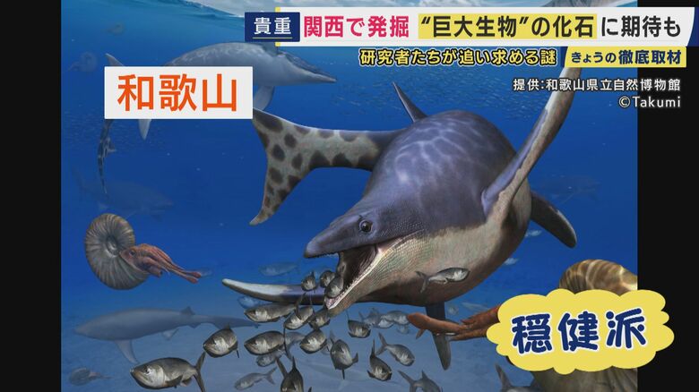 和歌山で発掘された穏健派？