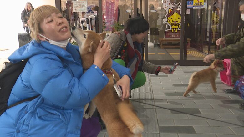 毎月2回「柴犬」が石見空港でお出迎え