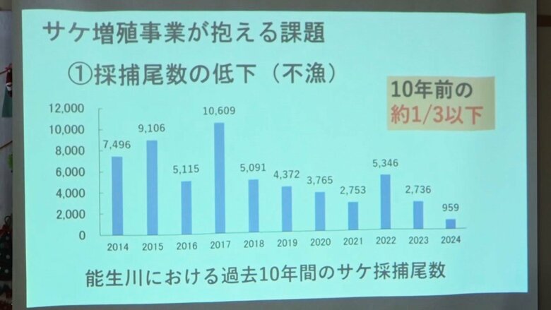 サケ捕獲数は減少