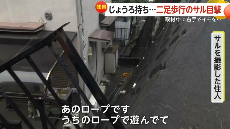 通路に落ちている二足歩行のサルが持って遊んでいたロープ