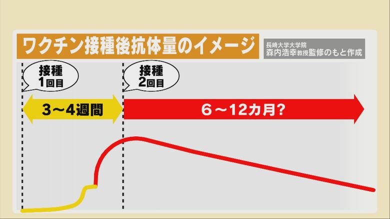 ワクチン接種後抗体量のイメージ