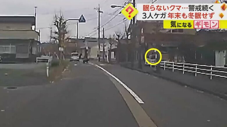 道路の向こうから急接近するクマに気づいた人が慌てて逃げる瞬間①