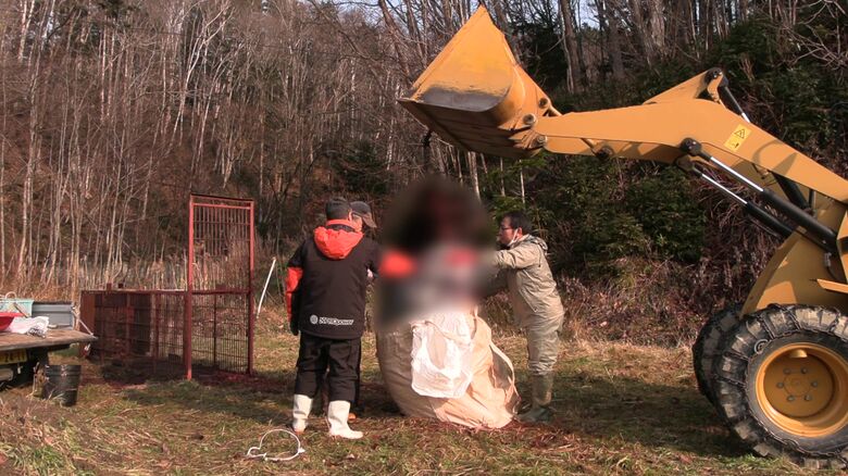 人間の裏をかくような賢いクマはどうして生まれるのか