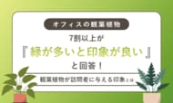 【オフィスの観葉植物】7割以上が「緑が多いと印象が良い」と回答！観葉植物が訪問者に与える印象とは