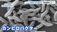 なぜ？食中毒が急増　生鶏肉に「カンピロバクター」家庭に潜む危険とは…「十分な加熱と消毒の徹底を」