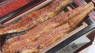 「暑さをうなぎで…」と売り上げ好調　土用の丑の日を前に“通常の５倍”準備　市場価格は1キロ1300円上昇も【東京・港区】